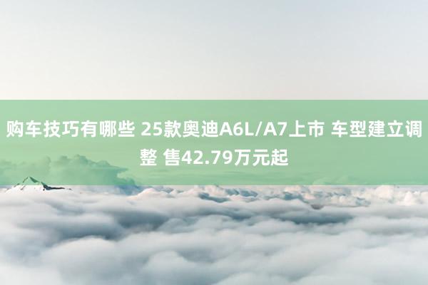 购车技巧有哪些 25款奥迪A6L/A7上市 车型建立调整 售42.79万元起