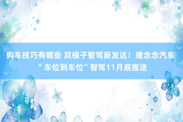   购车技巧有哪些 双模子智驾新发达！理念念汽车 ＂车位到车位”智驾11月底推送