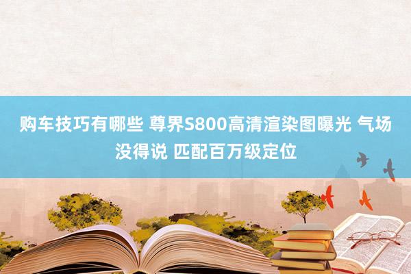   购车技巧有哪些 尊界S800高清渲染图曝光 气场没得说 匹配百万级定位