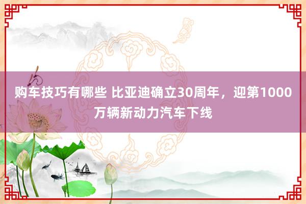   购车技巧有哪些 比亚迪确立30周年，迎第1000万辆新动力汽车下线