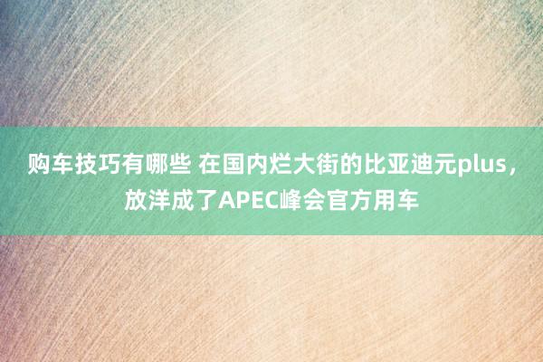   购车技巧有哪些 在国内烂大街的比亚迪元plus，放洋成了APEC峰会官方用车