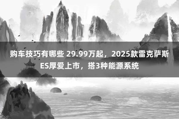   购车技巧有哪些 29.99万起，2025款雷克萨斯ES厚爱上市，搭3种能源系统