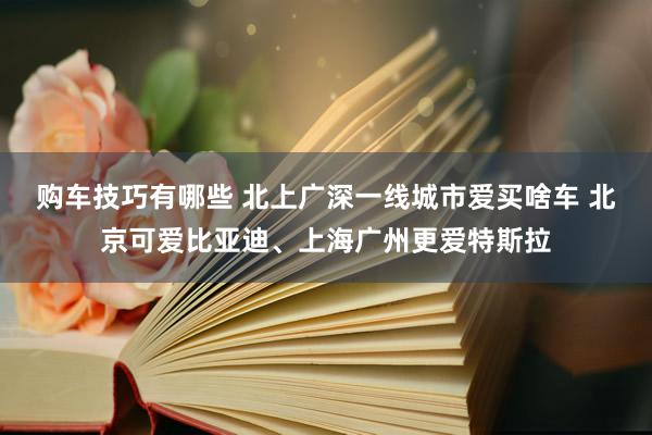   购车技巧有哪些 北上广深一线城市爱买啥车 北京可爱比亚迪、上海广州更爱特斯拉