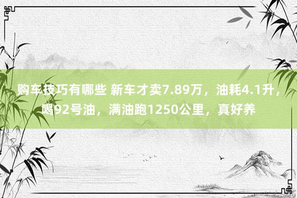   购车技巧有哪些 新车才卖7.89万，油耗4.1升，喝92号油，满油跑1250公里，真好养