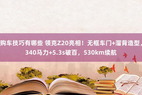   购车技巧有哪些 领克Z20亮相！无框车门+溜背造型，340马力+5.3s破百，530km续航