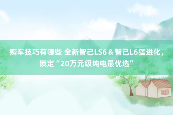   购车技巧有哪些 全新智己LS6＆智己L6猛进化，锁定“20万元级纯电最优选”