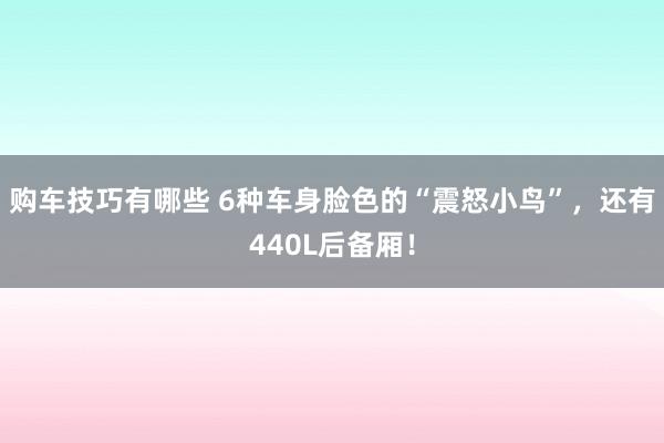   购车技巧有哪些 6种车身脸色的“震怒小鸟”，还有440L后备厢！