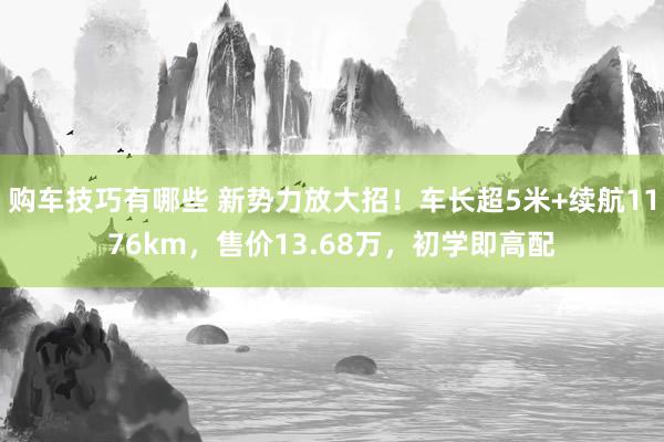   购车技巧有哪些 新势力放大招！车长超5米+续航1176km，售价13.68万，初学即高配