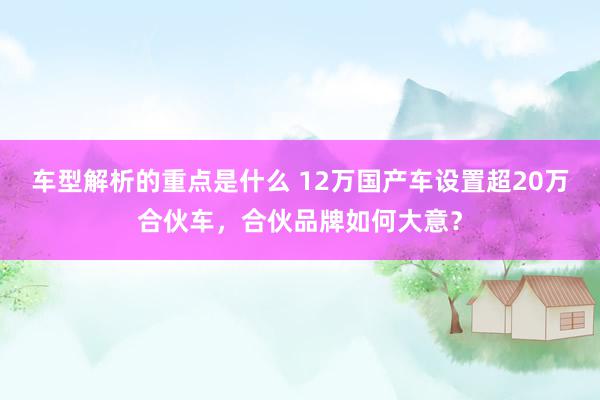   车型解析的重点是什么 12万国产车设置超20万合伙车，合伙品牌如何大意？