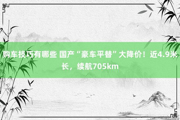   购车技巧有哪些 国产“豪车平替”大降价！近4.9米长，续航705km