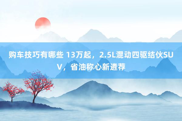   购车技巧有哪些 13万起，2.5L混动四驱结伙SUV，省油称心新遴荐