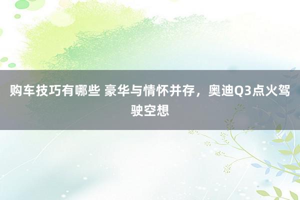   购车技巧有哪些 豪华与情怀并存，奥迪Q3点火驾驶空想