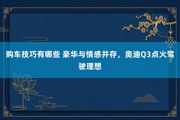   购车技巧有哪些 豪华与情感并存，奥迪Q3点火驾驶理想