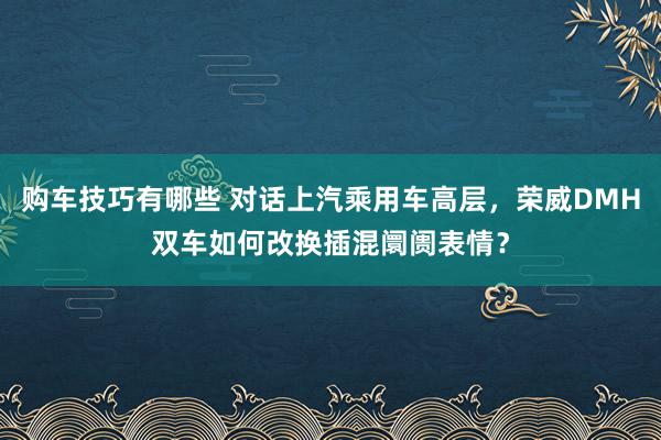   购车技巧有哪些 对话上汽乘用车高层，荣威DMH双车如何改换插混阛阓表情？