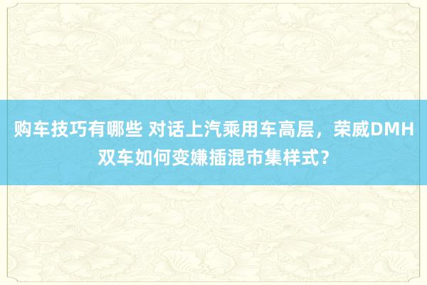   购车技巧有哪些 对话上汽乘用车高层，荣威DMH双车如何变嫌插混市集样式？