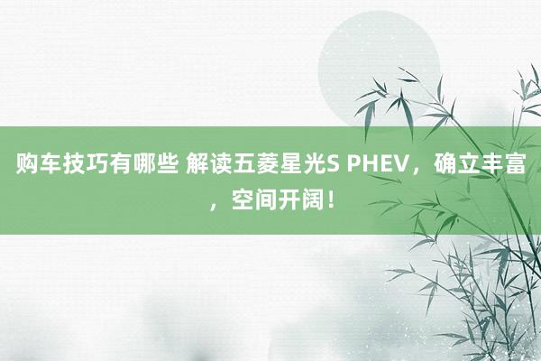   购车技巧有哪些 解读五菱星光S PHEV，确立丰富，空间开阔！