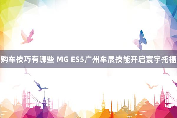   购车技巧有哪些 MG ES5广州车展技能开启寰宇托福