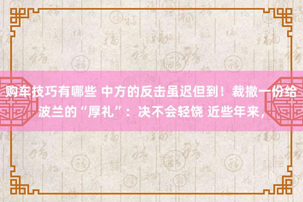 购车技巧有哪些 中方的反击虽迟但到！裁撤一份给波兰的“厚礼”