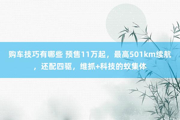 购车技巧有哪些 预售11万起，最高501km续航，还配四驱，