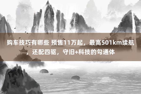 购车技巧有哪些 预售11万起，最高501km续航，还配四驱，守旧+科技的勾通体