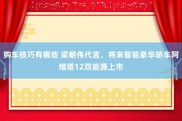 购车技巧有哪些 梁朝伟代言，将来智能豪华轿车阿维塔12双能源上市