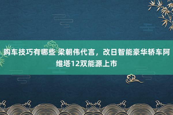 购车技巧有哪些 梁朝伟代言，改日智能豪华轿车阿维塔12双能源上市