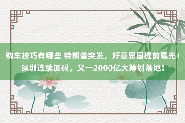 购车技巧有哪些 特朗普突发，好意思国提前曝光！深圳连续加码，又一2000亿大筹划落地！