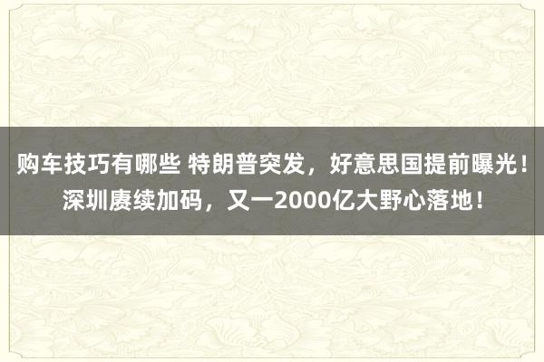 购车技巧有哪些 特朗普突发，好意思国提前曝光！深圳赓续加码，又一2000亿大野心落地！