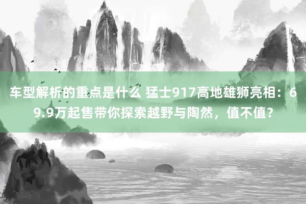 车型解析的重点是什么 猛士917高地雄狮亮相：69.9万起售带你探索越野与陶然，值不值？