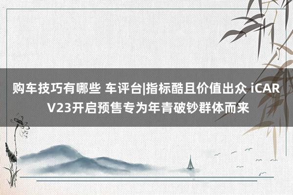 购车技巧有哪些 车评台|指标酷且价值出众 iCAR V23开启预售专为年青破钞群体而来