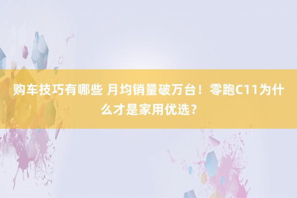 购车技巧有哪些 月均销量破万台！零跑C11为什么才是家用优选？