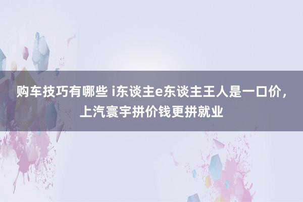 购车技巧有哪些 i东谈主e东谈主王人是一口价，上汽寰宇拼价钱