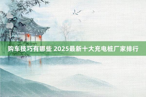 购车技巧有哪些 2025最新十大充电桩厂家排行