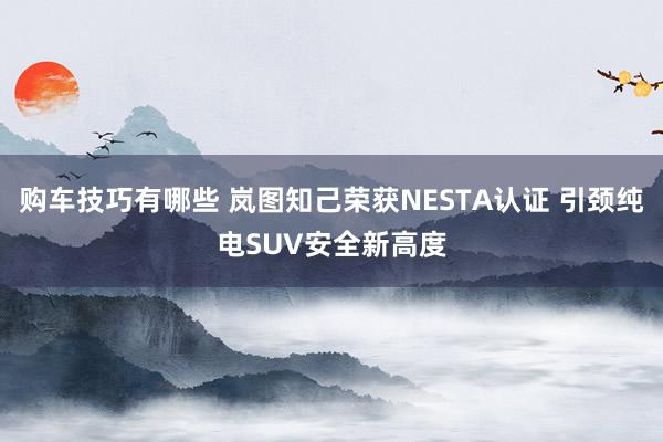 购车技巧有哪些 岚图知己荣获NESTA认证 引颈纯电SUV安