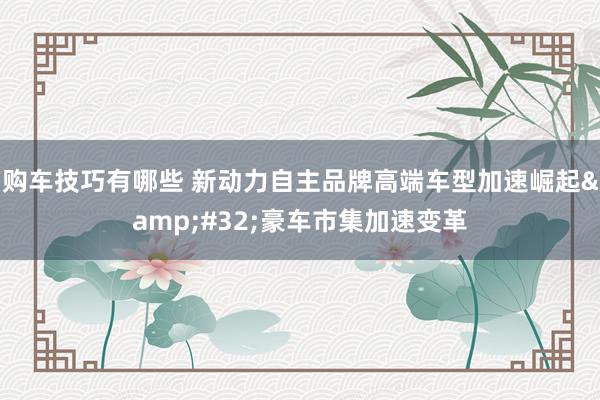 购车技巧有哪些 新动力自主品牌高端车型加速崛起&#32;豪车市集加速变革