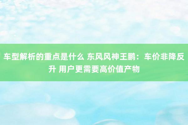 车型解析的重点是什么 东风风神王鹏：车价非降反升 用户更需要