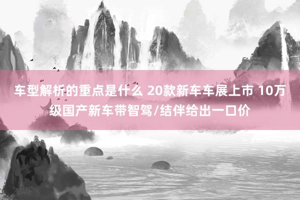 车型解析的重点是什么 20款新车车展上市 10万级国产新车带智驾/结伴给出一口价