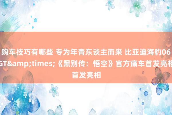   购车技巧有哪些 专为年青东谈主而来 比亚迪海豹06GT&times;《黑别传：悟空》官方痛车首发亮相