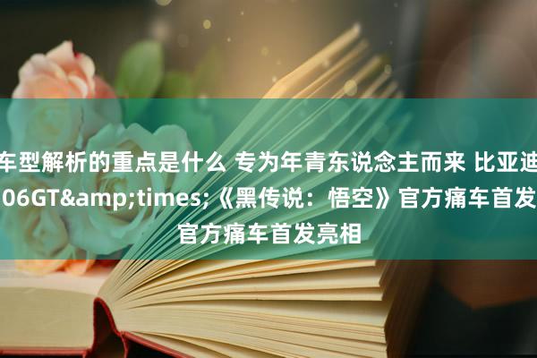   车型解析的重点是什么 专为年青东说念主而来 比亚迪海豹06GT&times;《黑传说：悟空》官方痛车首发亮相