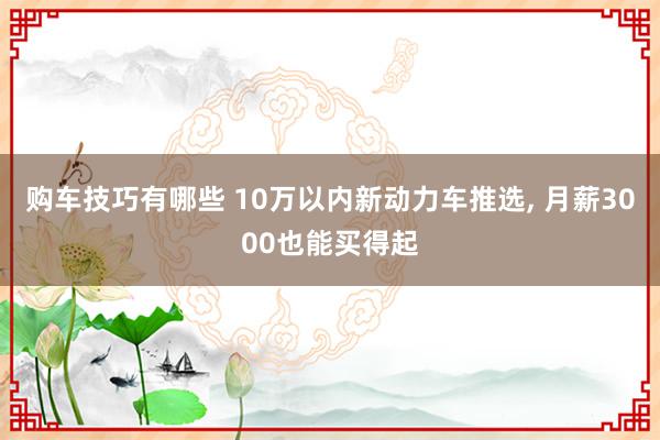   购车技巧有哪些 10万以内新动力车推选, 月薪3000也能买得起