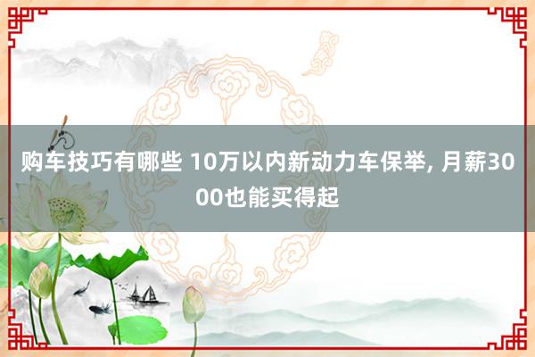 购车技巧有哪些 10万以内新动力车保举, 月薪3000也能买