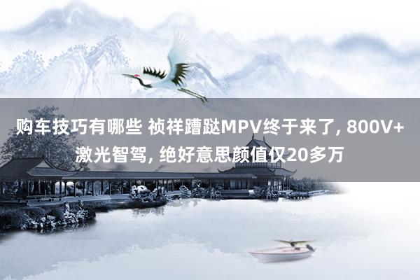   购车技巧有哪些 祯祥蹧跶MPV终于来了, 800V+激光智驾, 绝好意思颜值仅20多万