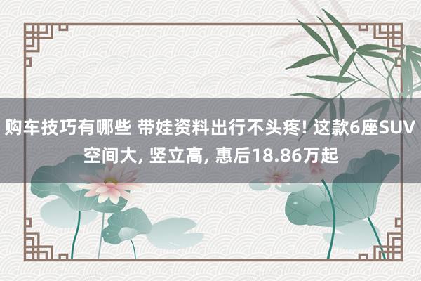 购车技巧有哪些 带娃资料出行不头疼! 这款6座SUV空间大,