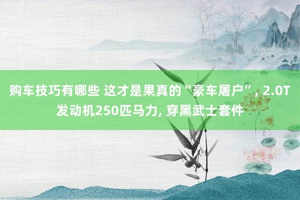 购车技巧有哪些 这才是果真的“豪车屠户”, 2.0T发动机2