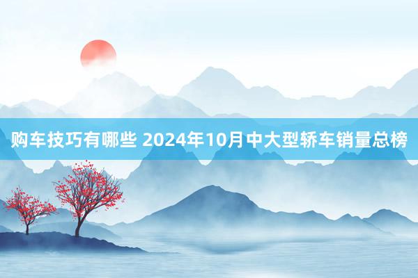   购车技巧有哪些 2024年10月中大型轿车销量总榜