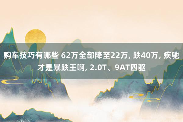   购车技巧有哪些 62万全部降至22万, 跌40万, 疾驰才是暴跌王啊, 2.0T、9AT四驱