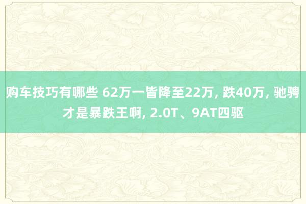   购车技巧有哪些 62万一皆降至22万, 跌40万, 驰骋才是暴跌王啊, 2.0T、9AT四驱