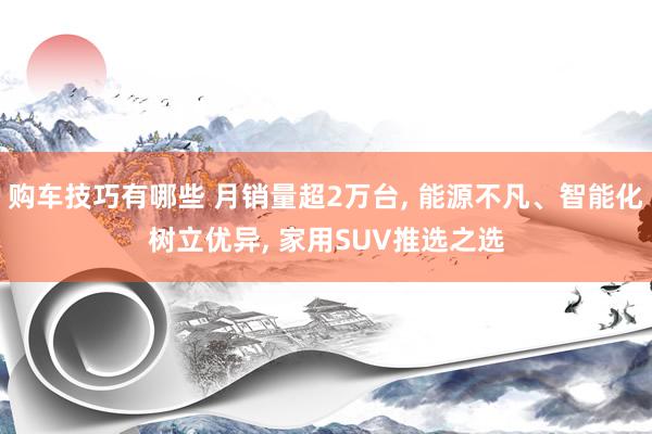   购车技巧有哪些 月销量超2万台, 能源不凡、智能化树立优异, 家用SUV推选之选