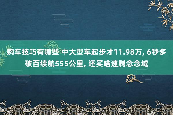 购车技巧有哪些 中大型车起步才11.98万, 6秒多破百续航555公里, 还买啥速腾念念域