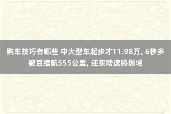 购车技巧有哪些 中大型车起步才11.98万, 6秒多破百续航555公里, 还买啥速腾想域